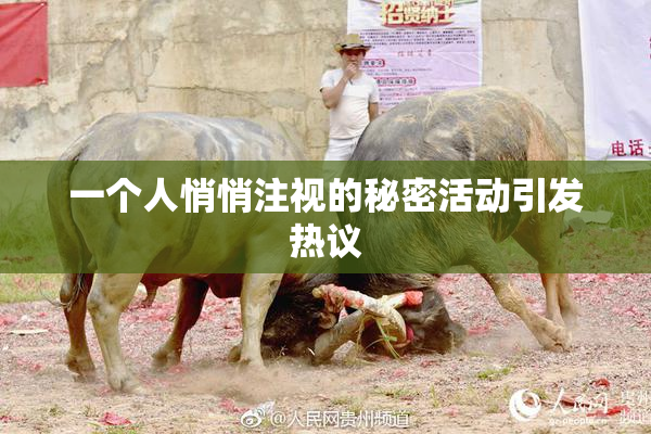一个人悄悄注视的秘密活动引发热议