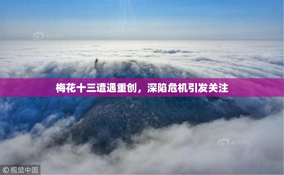 梅花十三遭遇重创，深陷危机引发关注