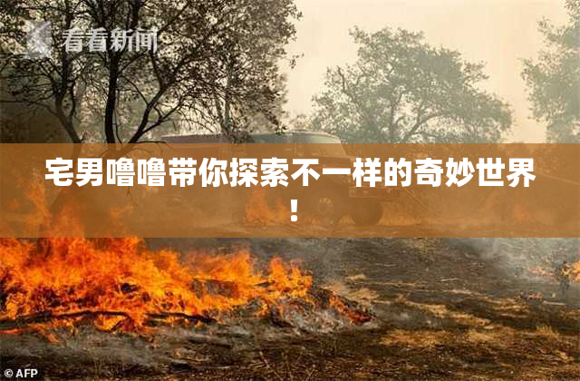 宅男噜噜带你探索不一样的奇妙世界！