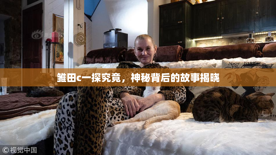 雏田c一探究竟，神秘背后的故事揭晓