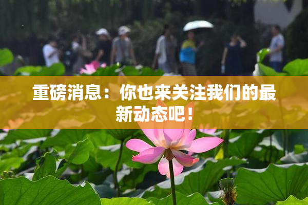重磅消息：你也来关注我们的最新动态吧！