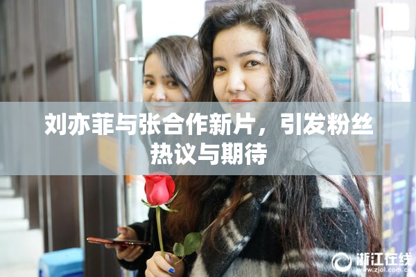 刘亦菲与张合作新片，引发粉丝热议与期待