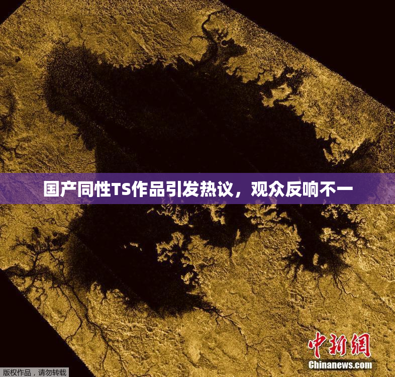 国产同性TS作品引发热议，观众反响不一