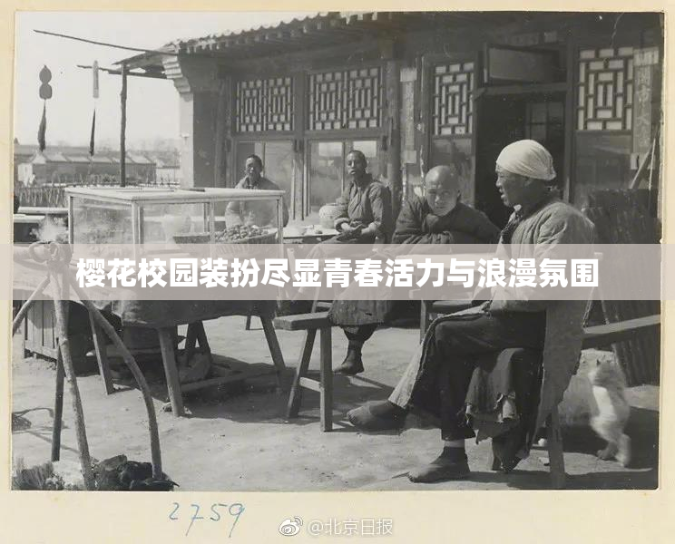樱花校园装扮尽显青春活力与浪漫氛围