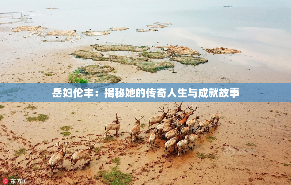 岳妇伦丰：揭秘她的传奇人生与成就故事