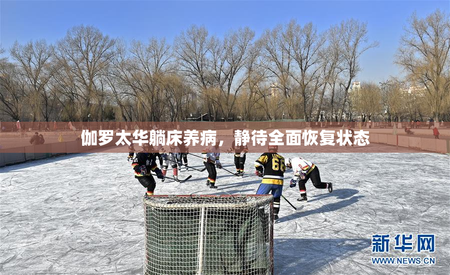 伽罗太华躺床养病，静待全面恢复状态