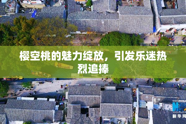 樱空桃的魅力绽放，引发乐迷热烈追捧