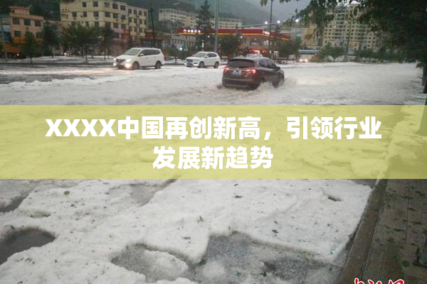XXXX中国再创新高，引领行业发展新趋势