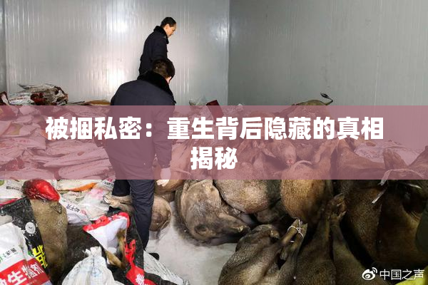 被捆私密：重生背后隐藏的真相揭秘