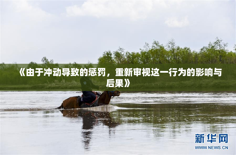 《由于冲动导致的惩罚，重新审视这一行为的影响与后果》