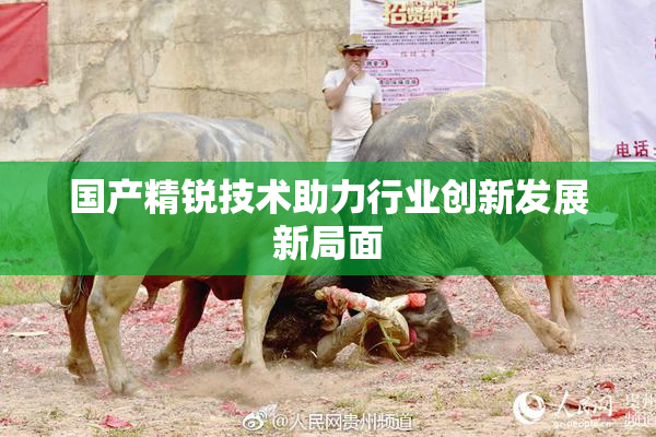 国产精锐技术助力行业创新发展新局面