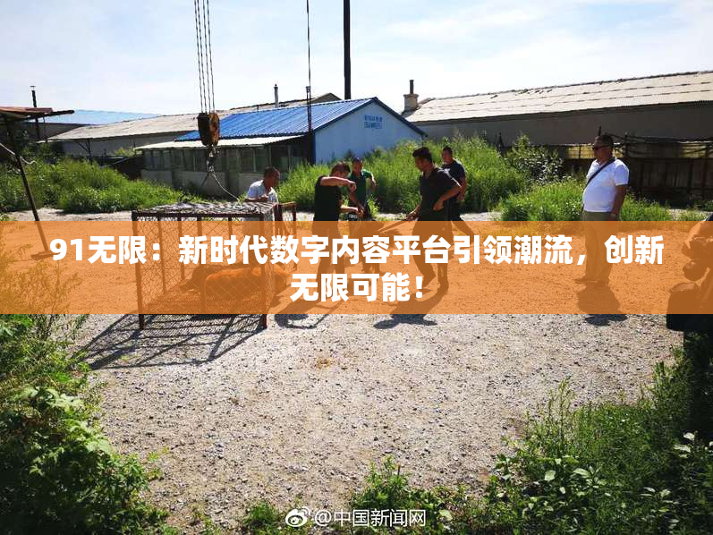 91无限：新时代数字内容平台引领潮流，创新无限可能！