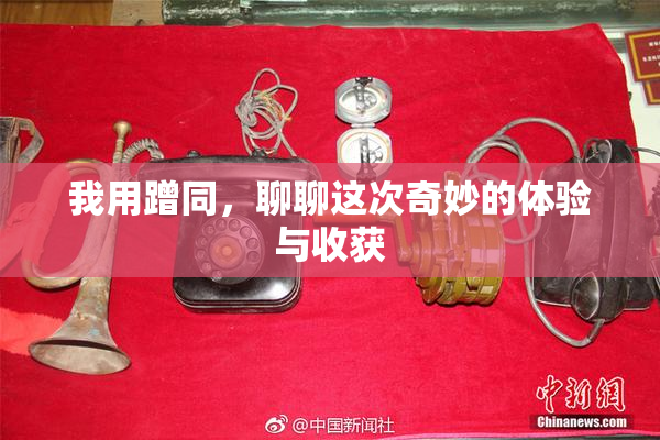 我用蹭同，聊聊这次奇妙的体验与收获
