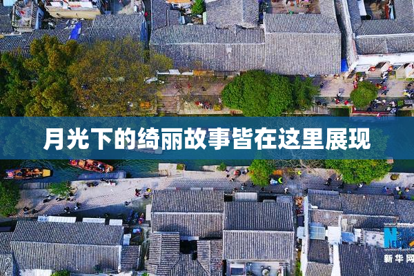 月光下的绮丽故事皆在这里展现