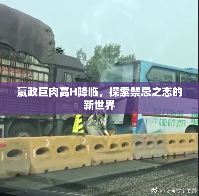 嬴政巨肉高H降临，探索禁忌之恋的新世界