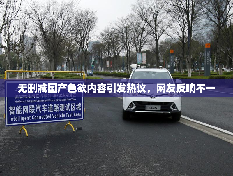 无删减国产色欲内容引发热议，网友反响不一