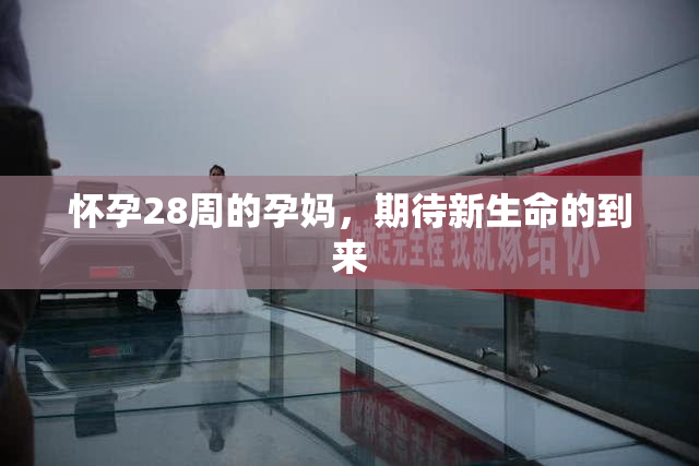 怀孕28周的孕妈，期待新生命的到来