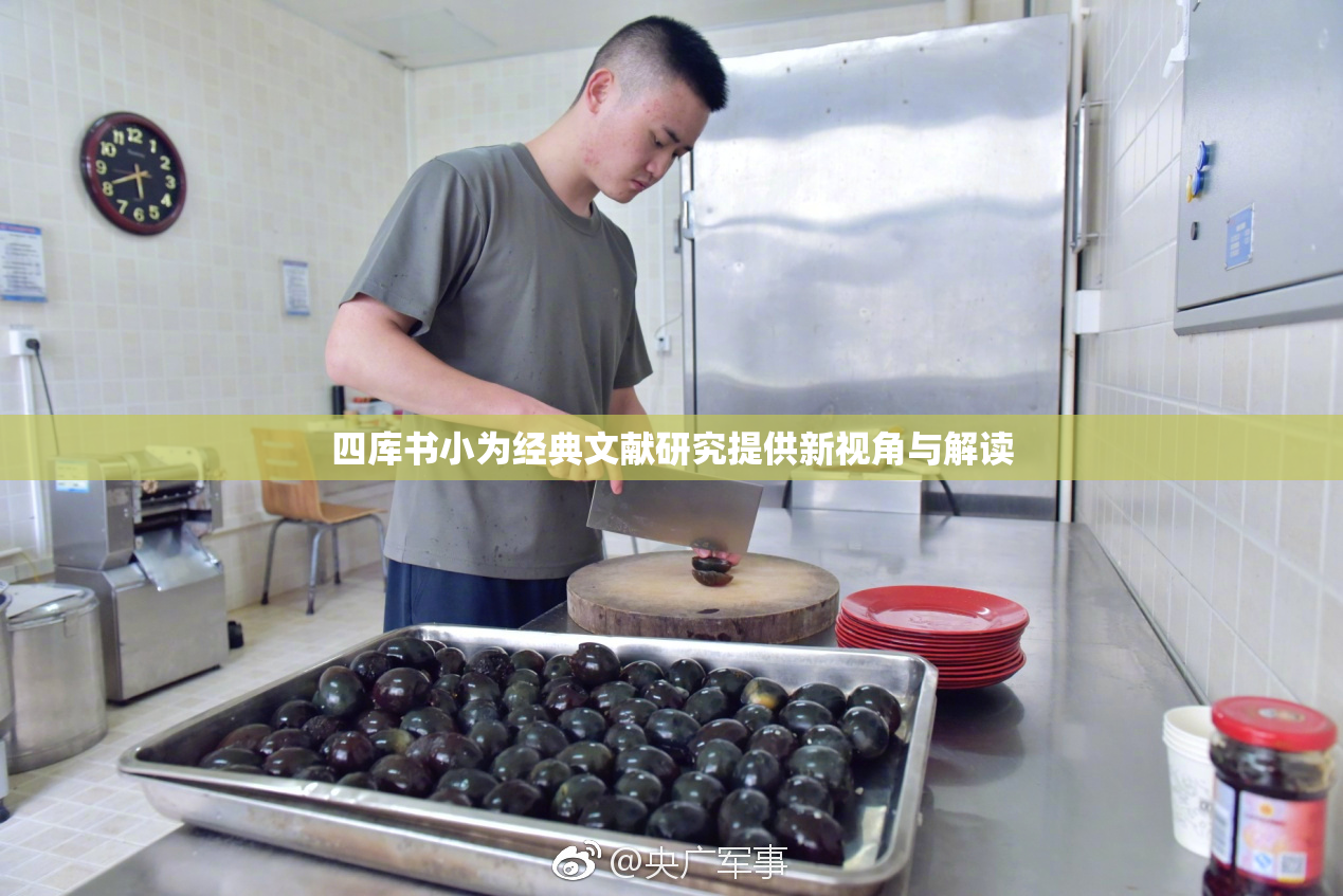 四库书小为经典文献研究提供新视角与解读