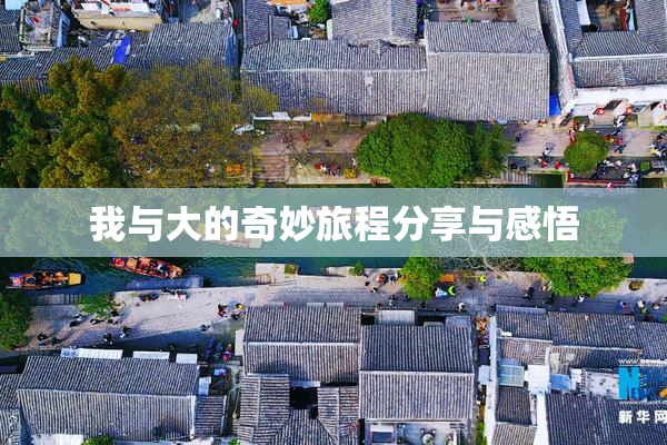 我与大的奇妙旅程分享与感悟