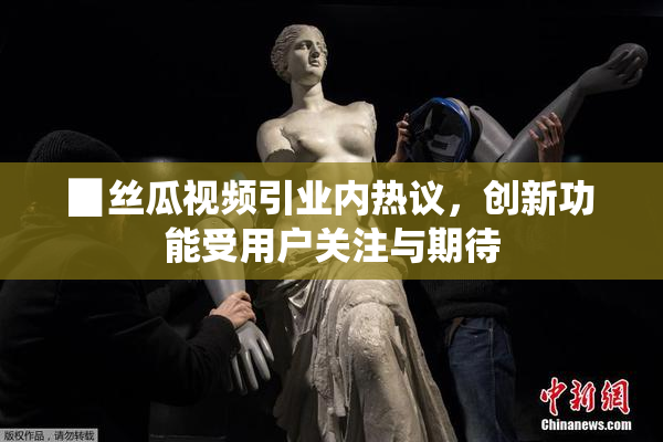 ▉丝瓜视频引业内热议，创新功能受用户关注与期待