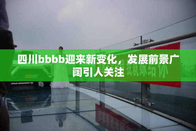 四川bbbb迎来新变化，发展前景广阔引人关注