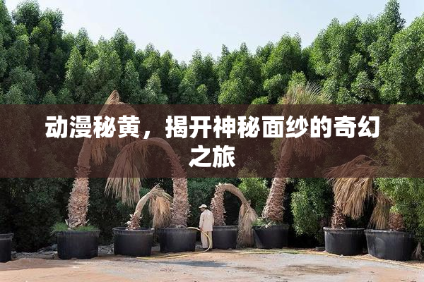 动漫秘黄，揭开神秘面纱的奇幻之旅