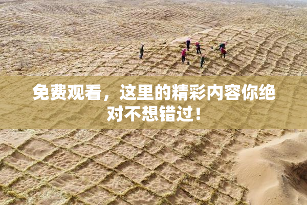 免费观看，这里的精彩内容你绝对不想错过！