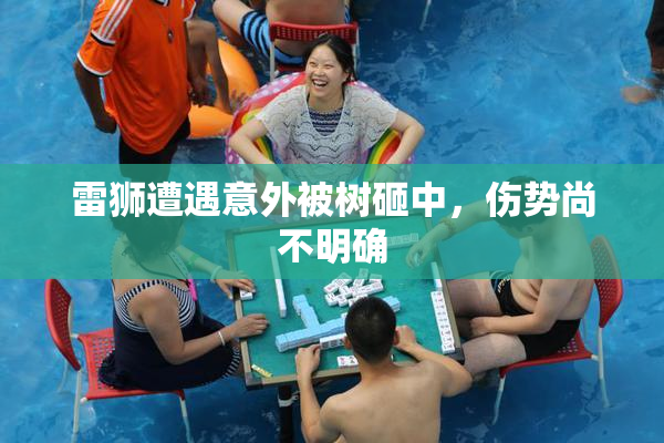 雷狮遭遇意外被树砸中，伤势尚不明确