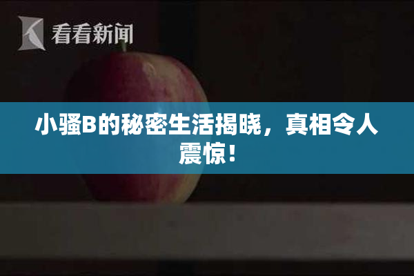 小骚B的秘密生活揭晓，真相令人震惊！