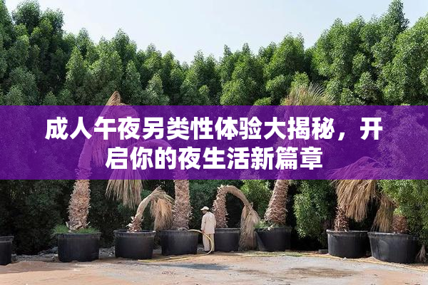 成人午夜另类性体验大揭秘，开启你的夜生活新篇章