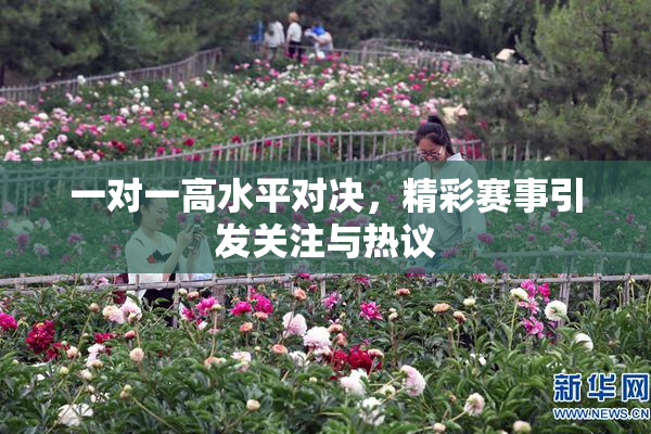 一对一高水平对决，精彩赛事引发关注与热议