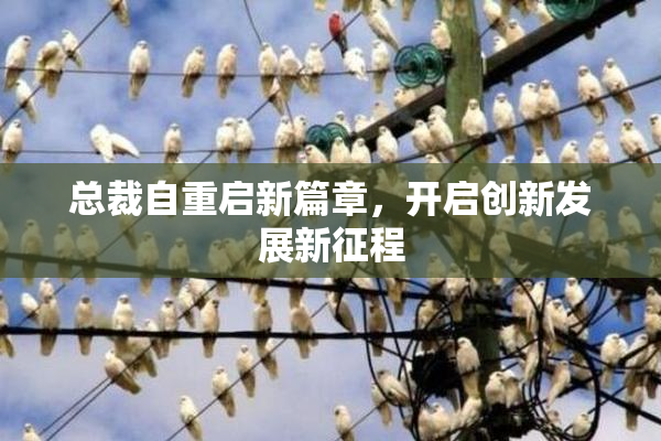 总裁自重启新篇章，开启创新发展新征程