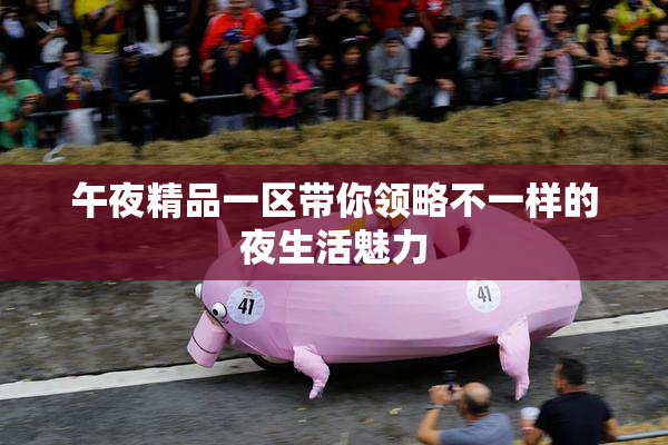 午夜精品一区带你领略不一样的夜生活魅力