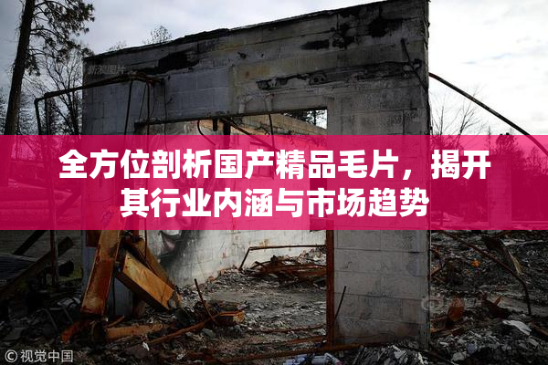 全方位剖析国产精品毛片，揭开其行业内涵与市场趋势