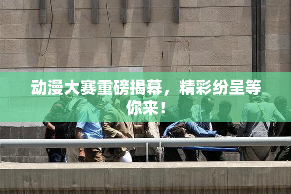 动漫大赛重磅揭幕，精彩纷呈等你来！
