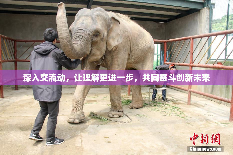 深入交流动，让理解更进一步，共同奋斗创新未来