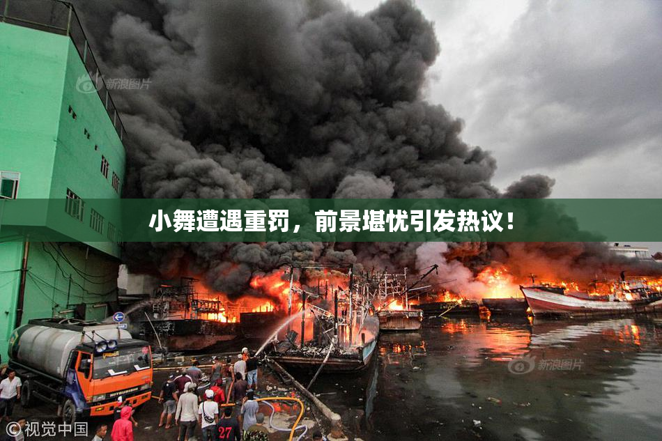 小舞遭遇重罚，前景堪忧引发热议！