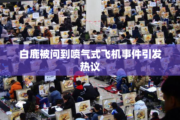 白鹿被问到喷气式飞机事件引发热议