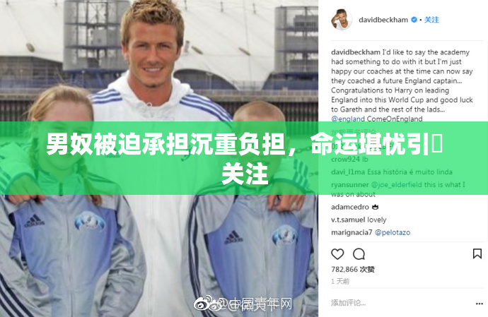 男奴被迫承担沉重负担，命运堪忧引発关注