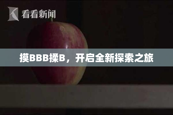 摸BBB揉B，开启全新探索之旅