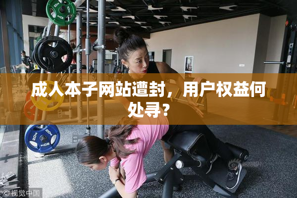 成人本子网站遭封，用户权益何处寻？