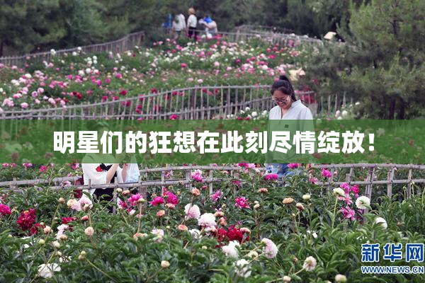 明星们的狂想在此刻尽情绽放！