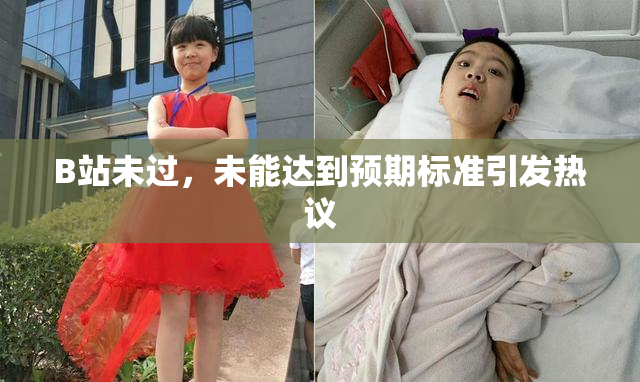 B站未过，未能达到预期标准引发热议
