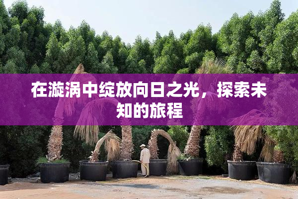 在漩涡中绽放向日之光，探索未知的旅程