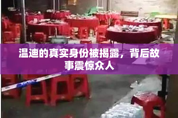 温迪的真实身份被揭露，背后故事震惊众人