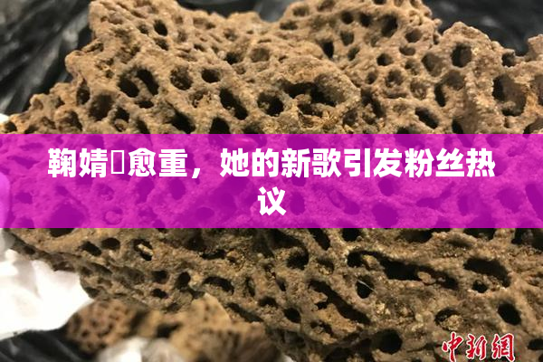 鞠婧祎愈重，她的新歌引发粉丝热议