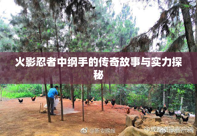 火影忍者中纲手的传奇故事与实力探秘
