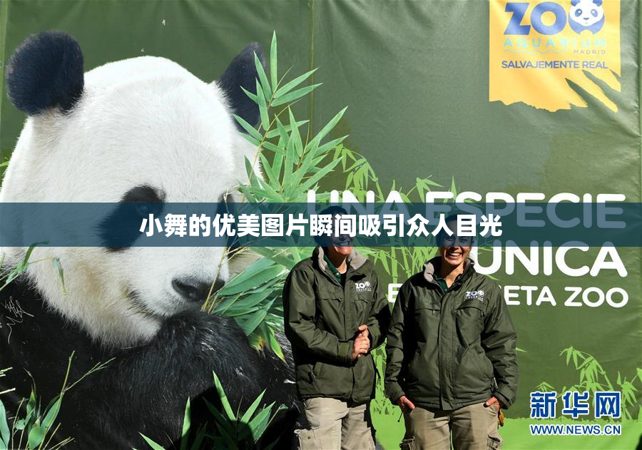 小舞的优美图片瞬间吸引众人目光