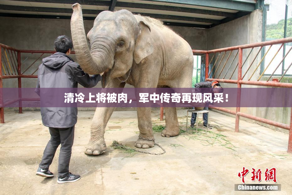 清冷上将被肉，军中传奇再现风采！