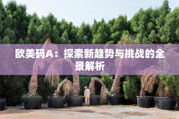 欧美码A：探索新趋势与挑战的全景解析